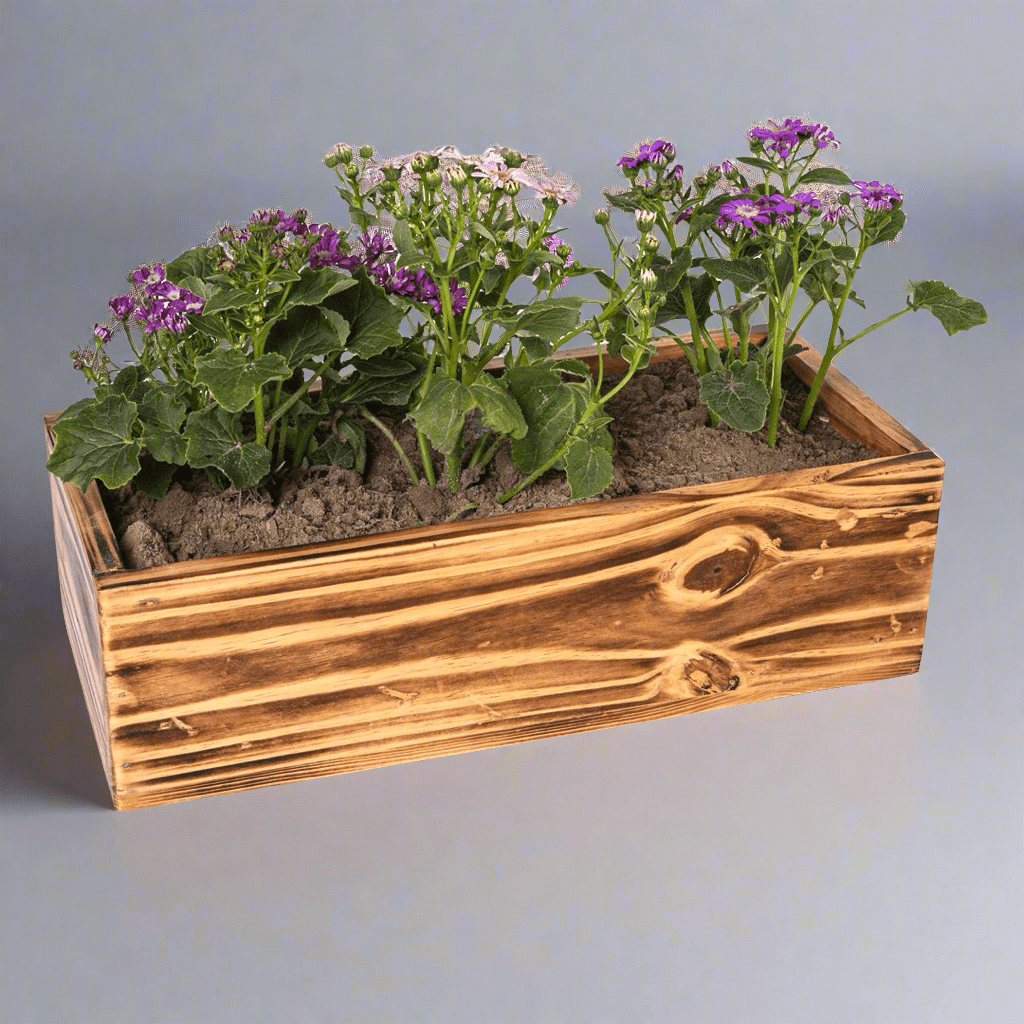 The Rancher Plant Pot Decor | Not Sale FB | Waseeh Pakistan
