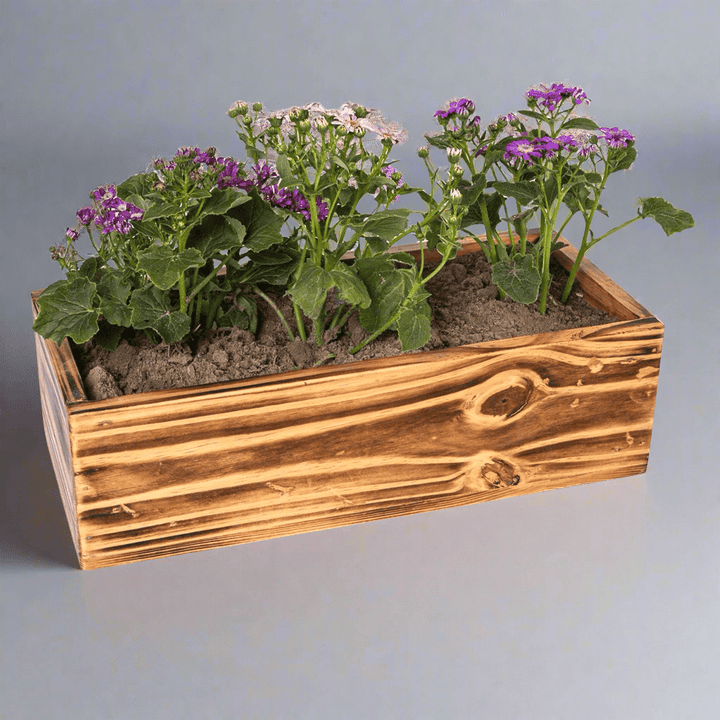 The Rancher Plant Pot Decor | Not Sale FB | Waseeh Pakistan