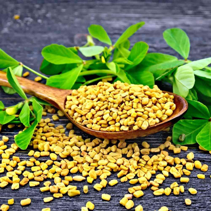 Vegetable Fenugreek Seeds | Home Décor | Waseeh Pakistan