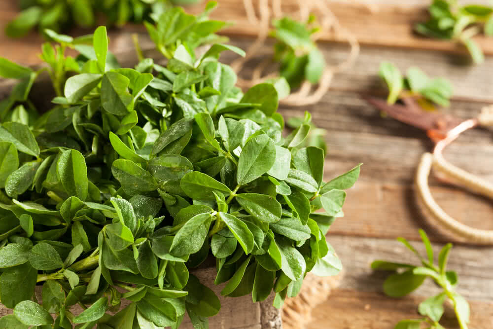 Vegetable Fenugreek Seeds | Home Décor | Waseeh Pakistan