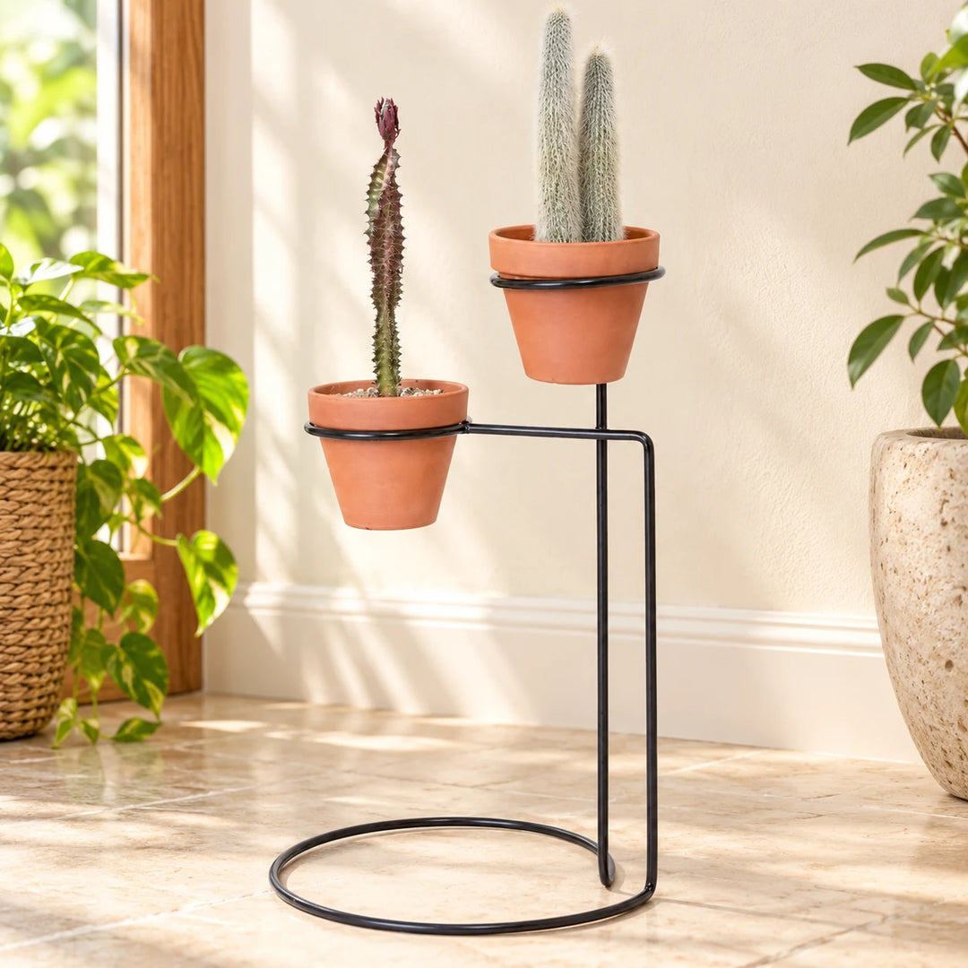 Veloura black two-level circular metal planter stand beside a sunlit cream wall with terracotta cactus pots for styling