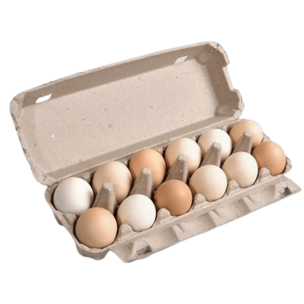 Waseeh Desi Table Eggs – Freshly Packed, Lahore Delivery | Waseeh Farm | Waseeh Pakistan
