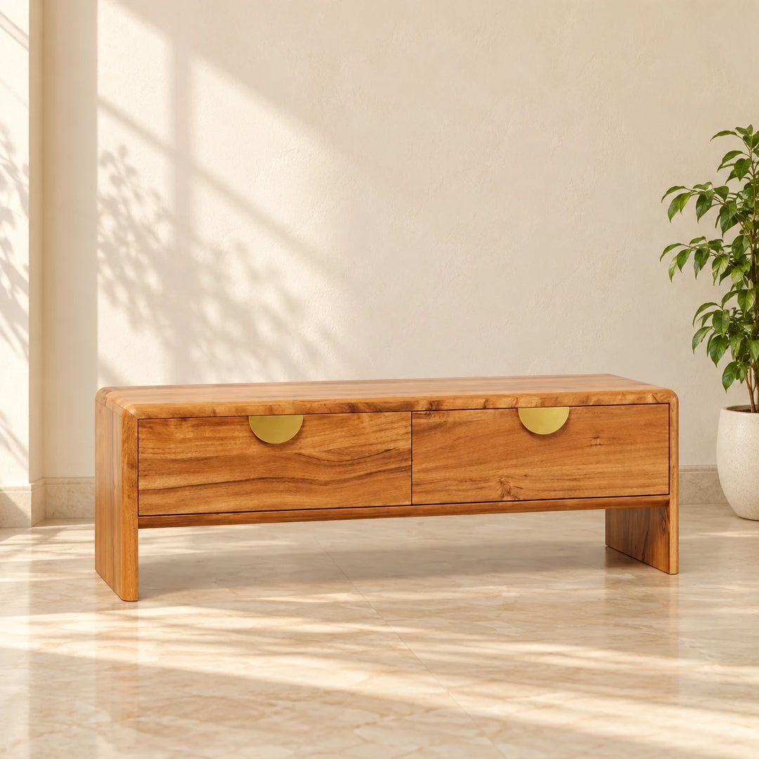 Watsoy wooden two-drawer media console with brass half-disc handles in a bright home lounge
