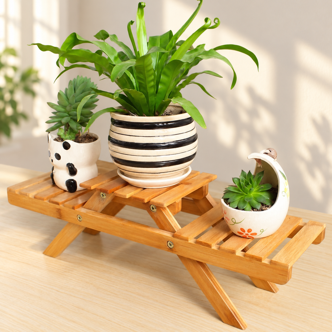 Zoories low slatted wooden plant stand with three planters in a clean daylight setting