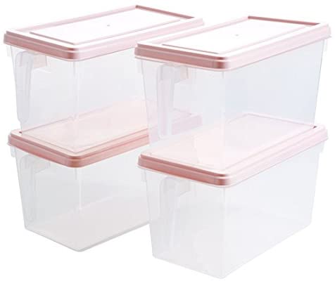 Storage Freezer Box with Handle - waseeh.com