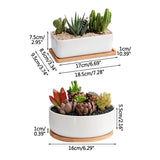 Planter Pot Decor - waseeh.com