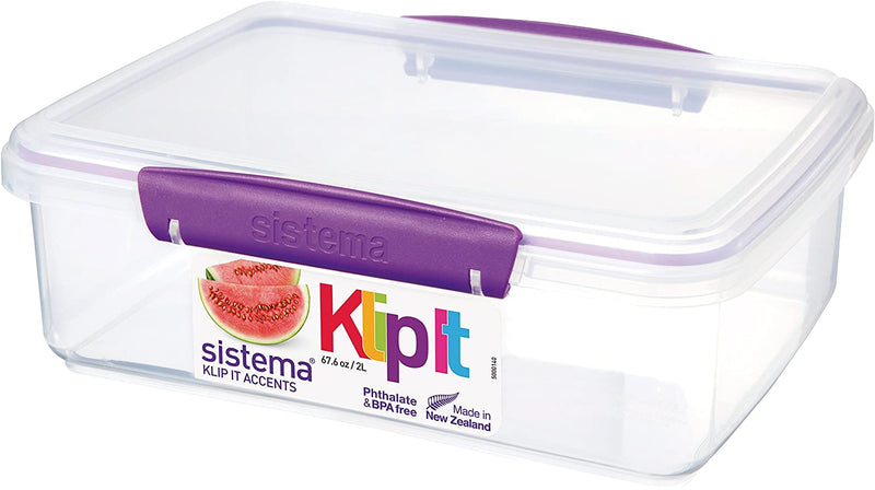 Rectangular Accents Food Lunch Box - waseeh.com