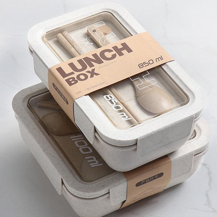 Hearty Lunch Box - waseeh.com