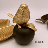 Bird on Fruit Decor - waseeh.com