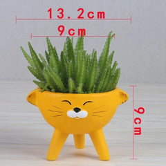 Korean Flowerpots - waseeh.com