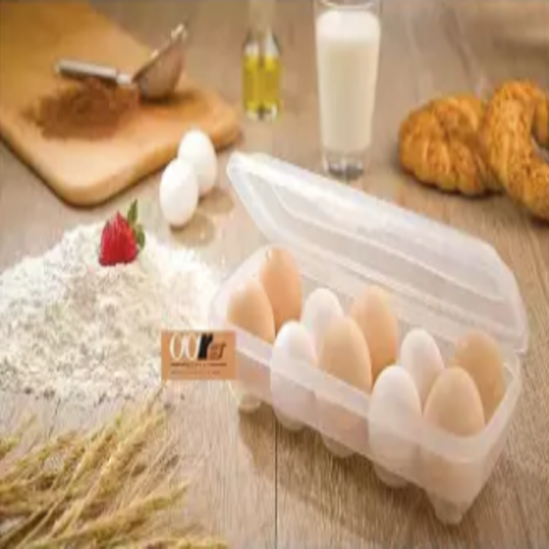 Limon Egg Box Tray (10 places) - waseeh.com