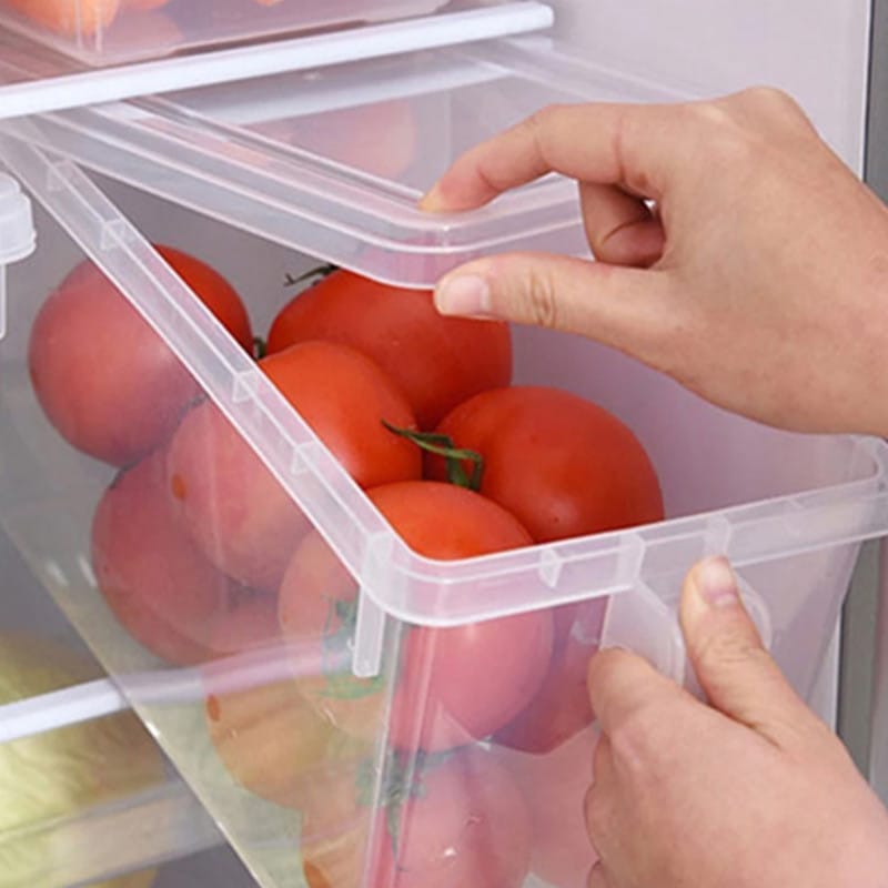 Storage Freezer Box with Handle - waseeh.com