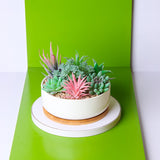 Planter Pot Decor - waseeh.com