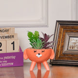 Korean Flowerpots - waseeh.com