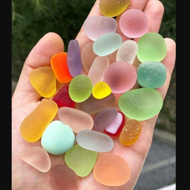 Sea Shell Decoration Packet - waseeh.com