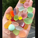 Sea Shell Decoration Packet - waseeh.com