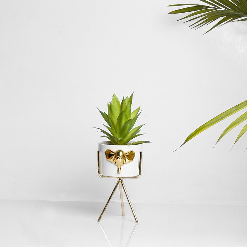 Allegory Pots Decor | Home Décor | Waseeh Pakistan