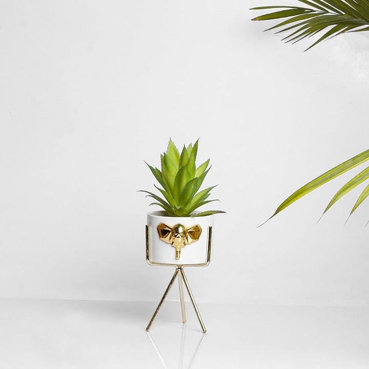 Allegory Pots Decor | Home Décor | Waseeh Pakistan