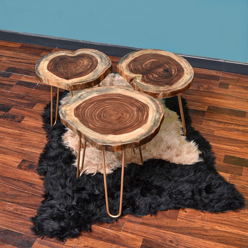 Billet Wooden Log Hairpin Table (Epoxy Build) | Furniture | Waseeh Pakistan