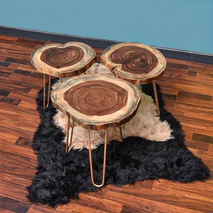 Billet Wooden Log Hairpin Table (Epoxy Build) | Furniture | Waseeh Pakistan
