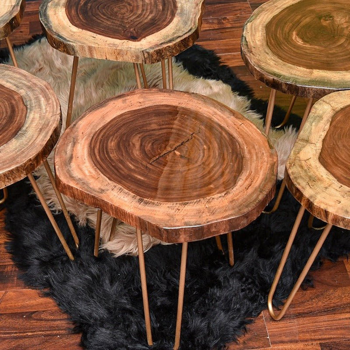 Billet Wooden Log Hairpin Table (Epoxy Build) | Furniture | Waseeh Pakistan