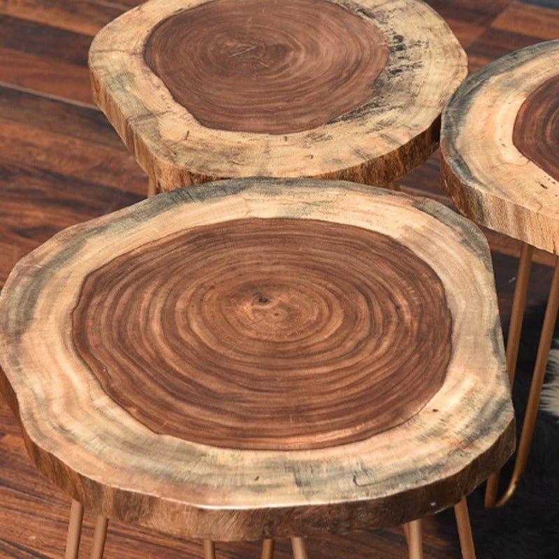 Billet Wooden Log Hairpin Table (Epoxy Build) | Furniture | Waseeh Pakistan