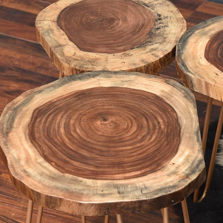 Billet Wooden Log Hairpin Table (Epoxy Build) | Furniture | Waseeh Pakistan