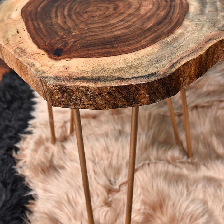 Billet Wooden Log Hairpin Table (Epoxy Build) | Furniture | Waseeh Pakistan