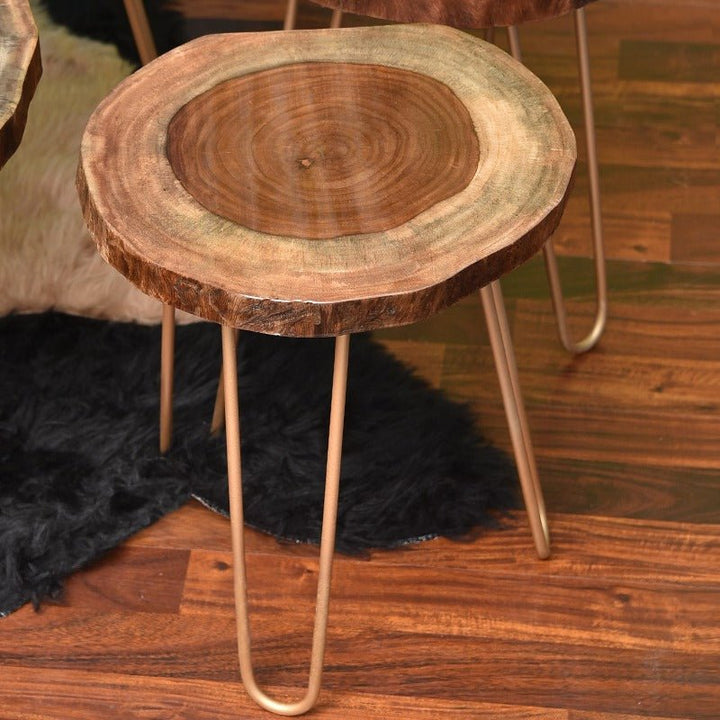 Billet Wooden Log Hairpin Table (Epoxy Build) | Furniture | Waseeh Pakistan