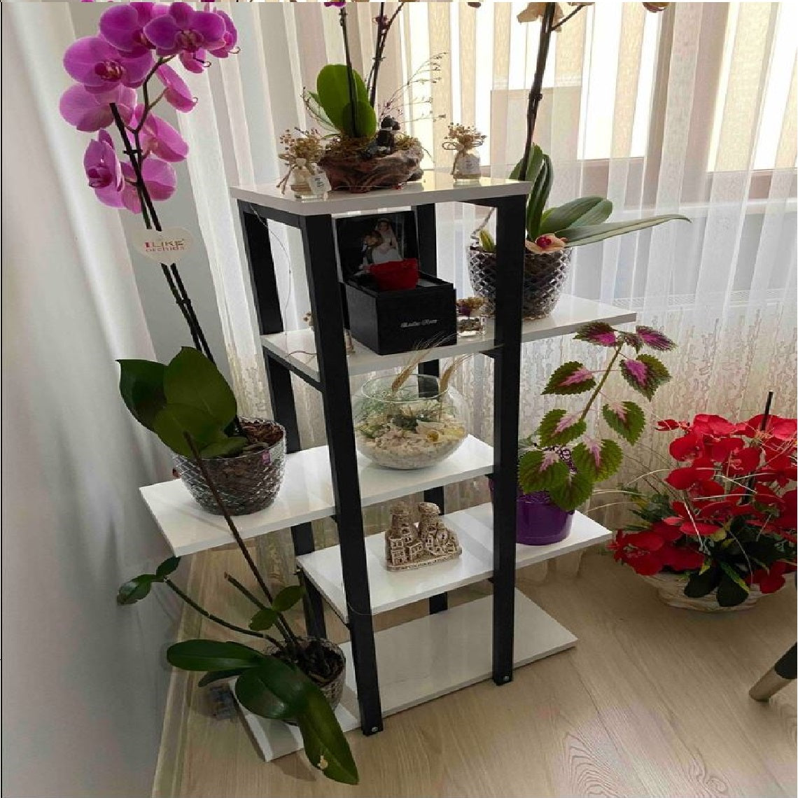 Home Plant Bookcase Decor Rack Stand - waseeh.com