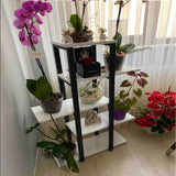 Home Plant Bookcase Decor Rack Stand - waseeh.com