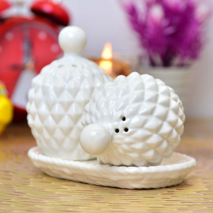 Classy Sea Shell Salt &amp; Pepper Set | kitchen item | Waseeh Pakistan