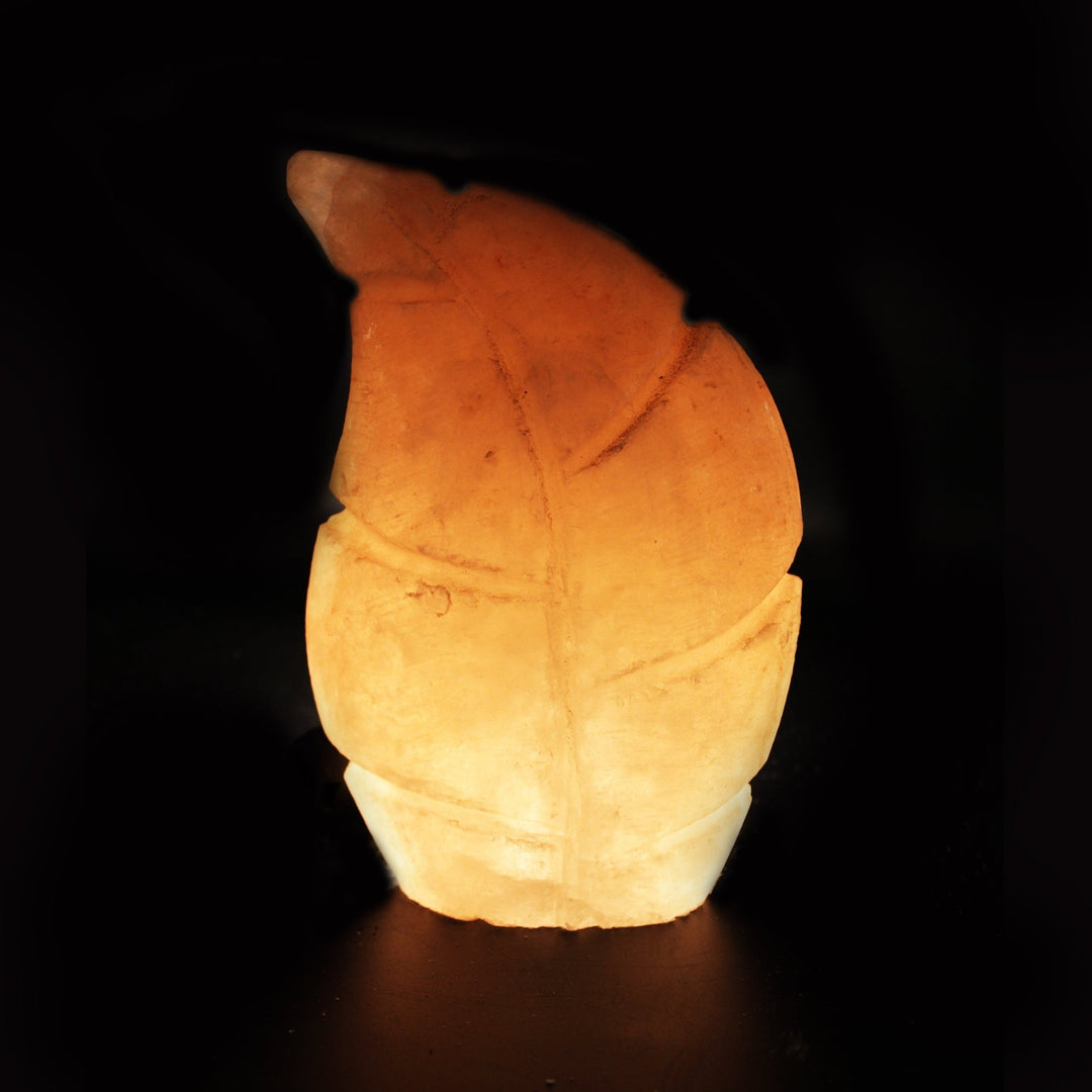 Curved Fern - Table Lamp | Home Décor | Waseeh Pakistan
