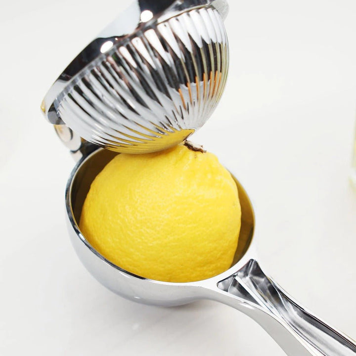 Deluxe Lemon Squeezer | Not Sale FB | Waseeh Pakistan