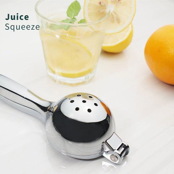 Deluxe Lemon Squeezer | Not Sale FB | Waseeh Pakistan