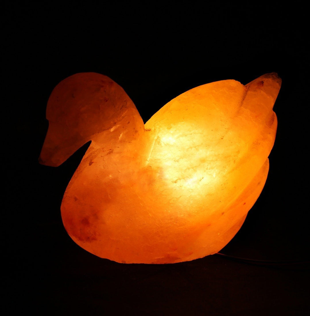 Duck - Table Lamp | Home Décor | Waseeh Pakistan