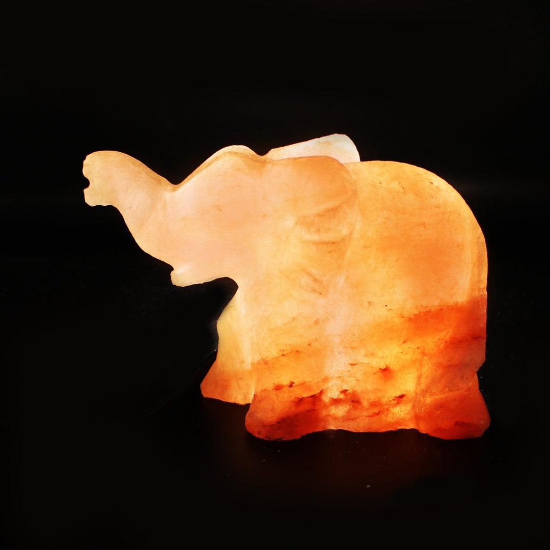 Elephant - Table Lamp | Home Décor | Waseeh Pakistan