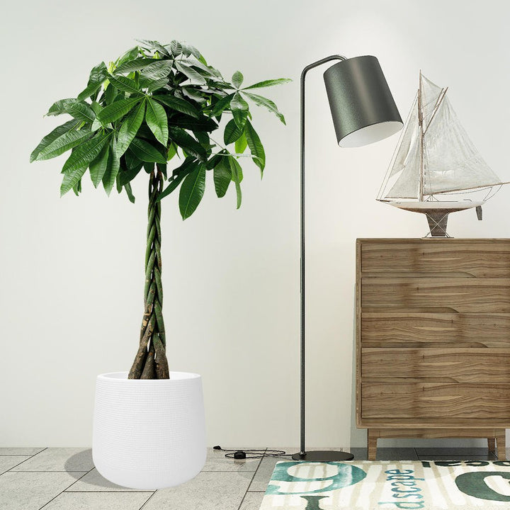 Embossment Plant Flower Pot (Round) | Home Décor | Waseeh Pakistan