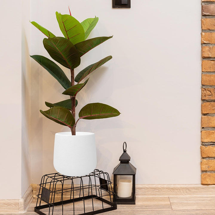 Embossment Plant Flower Pot (Round) | Home Décor | Waseeh Pakistan