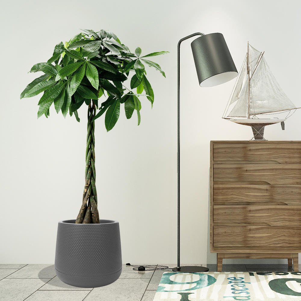 Embossment Plant Flower Pot (Round) | Home Décor | Waseeh Pakistan