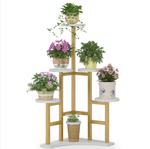 Engross Quinary Planter Shelve Organizer Stand Rack | Not Sale FB | Waseeh Pakistan