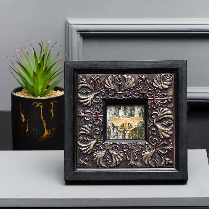 Excellent Photo Frame Decor | Home Décor | Waseeh Pakistan