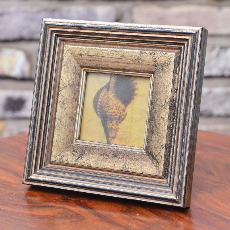 Fabulous Photo Frame Decor | Home Décor | Waseeh Pakistan