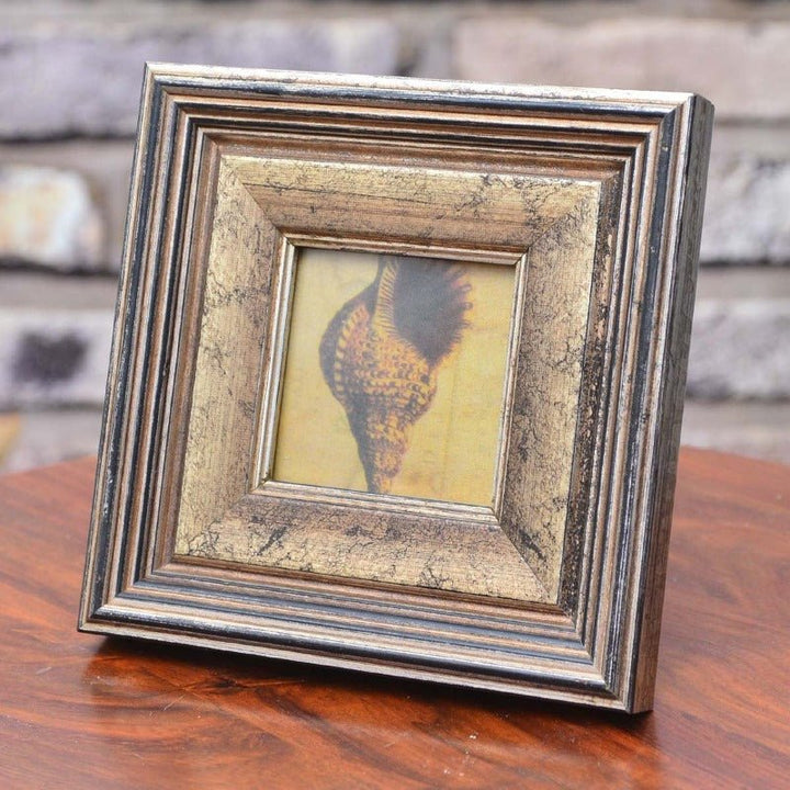 Fabulous Photo Frame Decor | Home Décor | Waseeh Pakistan