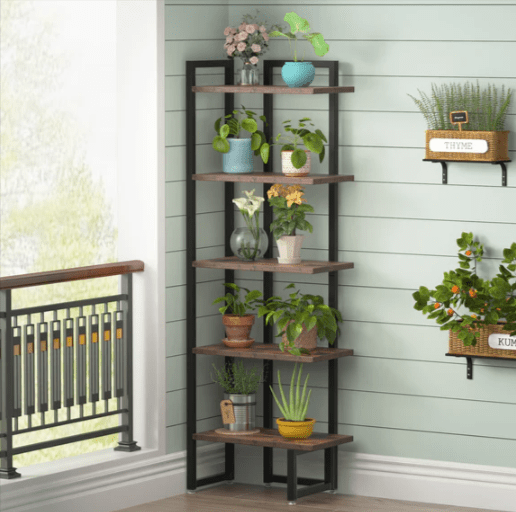 Factorize Bookcase Shelve Kitchen Living Room Organizer Storage Rack Decor | Furniture | Waseeh Pakistan