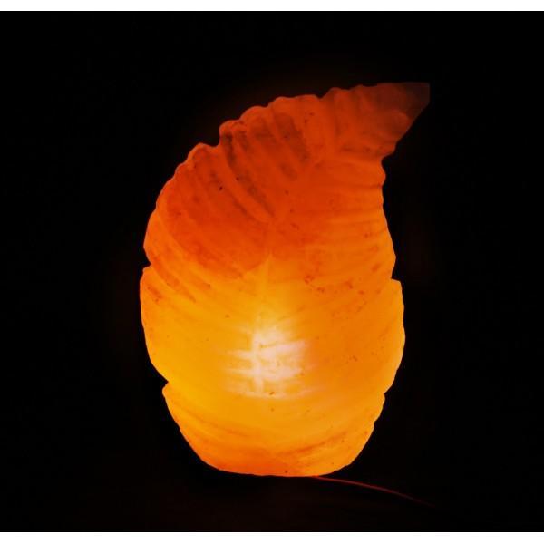 Fern - Table Lamp | Home Décor | Waseeh Pakistan