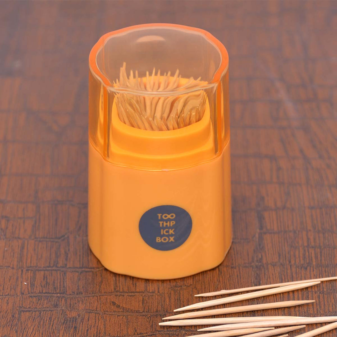 High Quality Toothpick Holder with Cover | kitchen item | Waseeh Pakistan