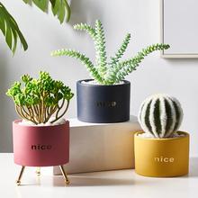 Hutch Pot Decor | Home Décor | Waseeh Pakistan