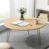 Tatami Lounge Living Drawing Room Center Table (Round) - waseeh.com