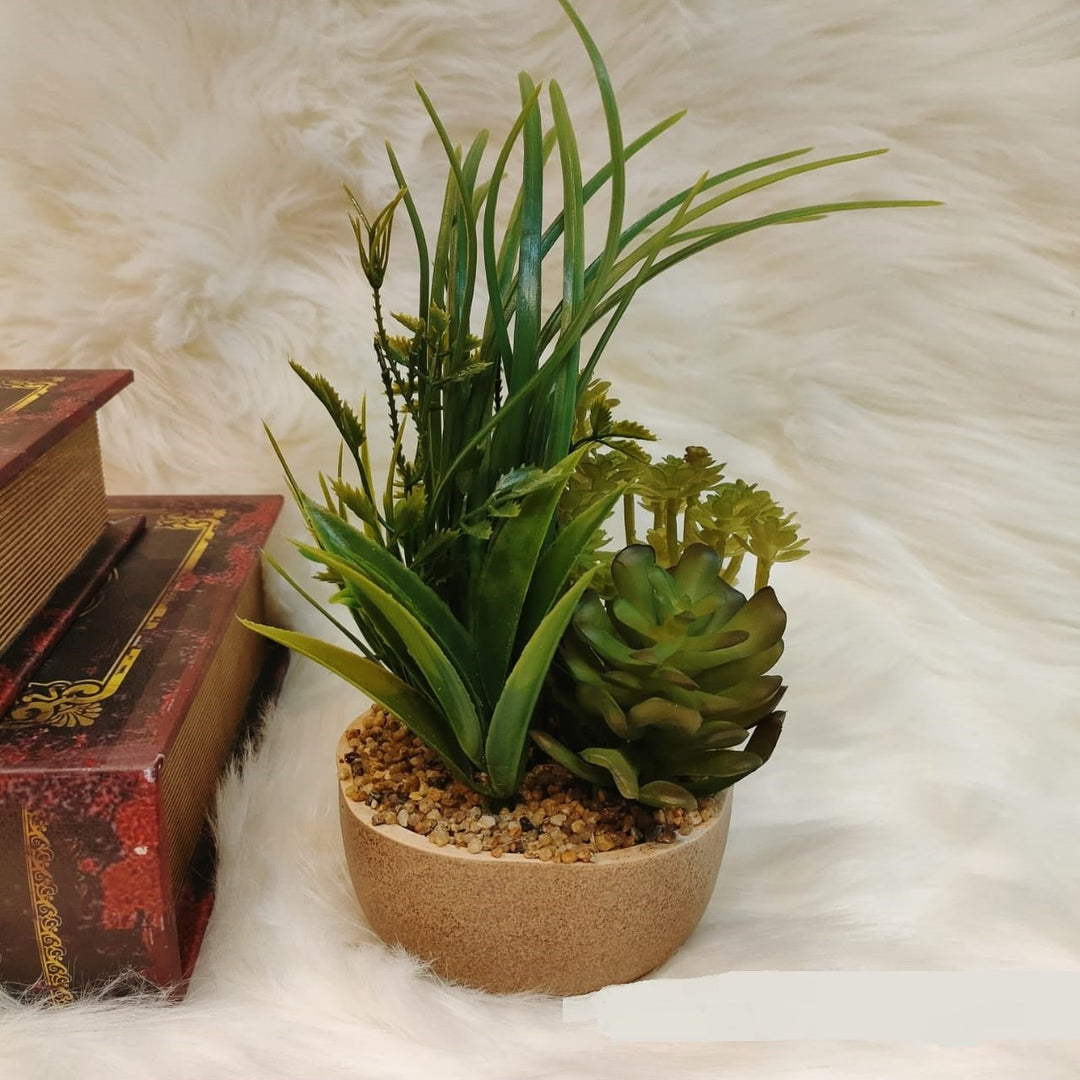 Mixy Plant Pots | Home Décor | Waseeh Pakistan